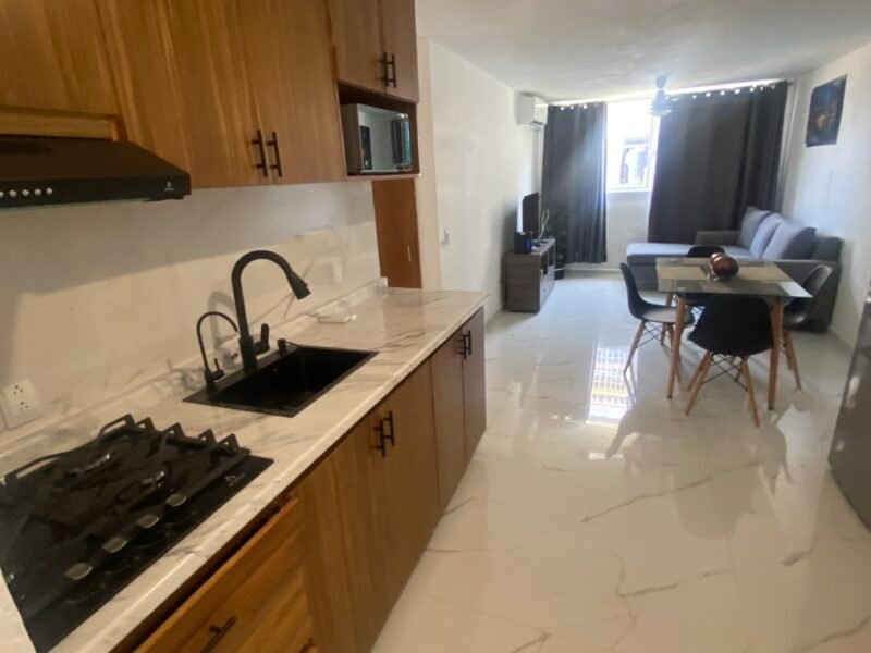 Departamento en renta cerca de Fluvial en Puerto Vallarta