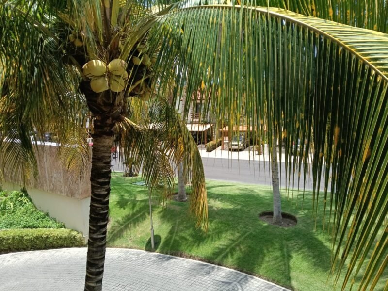 EL TIGRE Condominios Península Golf 6PM sin muebles